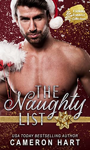 The Naughty List book cover