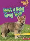 Meet a Baby Gray Wolf (Lightning Bolt Books ® ― Baby North American Animals)