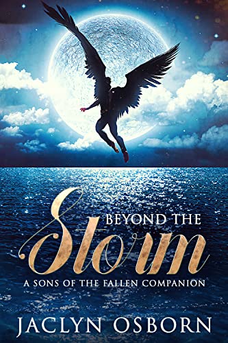 Beyond the Storm book cover