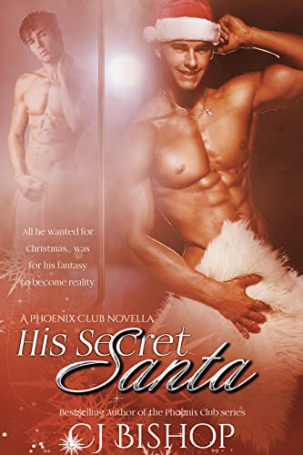 His Secret Santa book cover