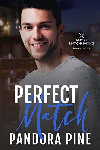 Perfect Match book cover