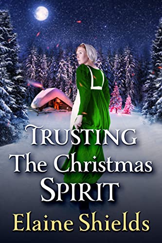 Trusting The Christmas Spirit book cover
