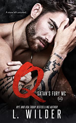 Q book cover