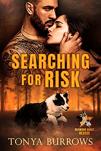 Searching for Risk book cover
