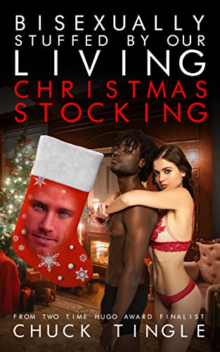 Bisexually Stuffed By Our Living Christmas Stocking book cover