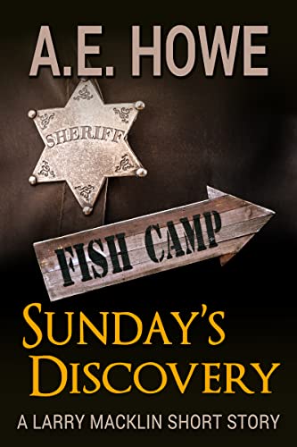Sunday's Discovery book cover