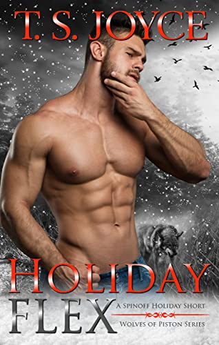 Holiday Flex book cover