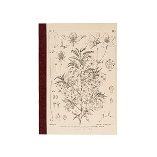 ほぼ日 Tomitaro Makino/Almost Daily Square Notebook (A5) Yamazakura 3.7 mm Square 288 Pages, 4 Color Grid, Notebook Accessory