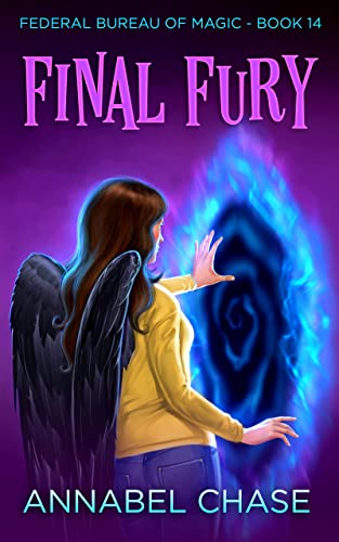The Final Fury book cover
