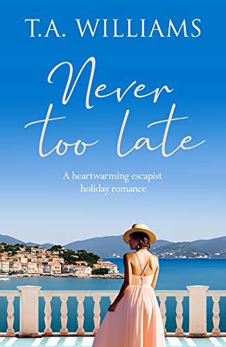 Never Too Late cover