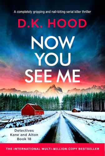 Now You See Me book cover