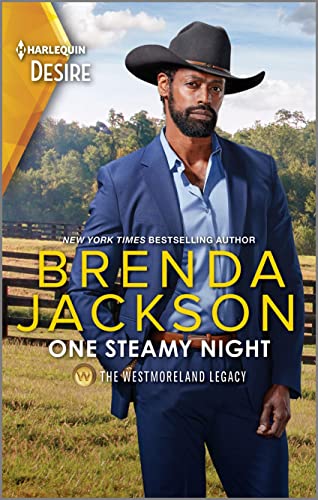 One Steamy Night book cover