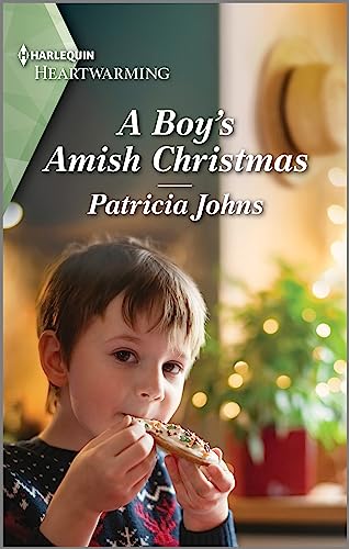 A Boy's Amish Christmas book cover