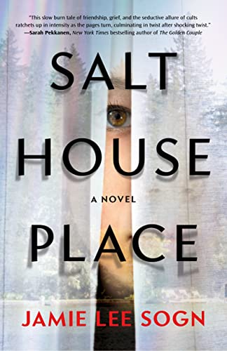 Salthouse Place book cover