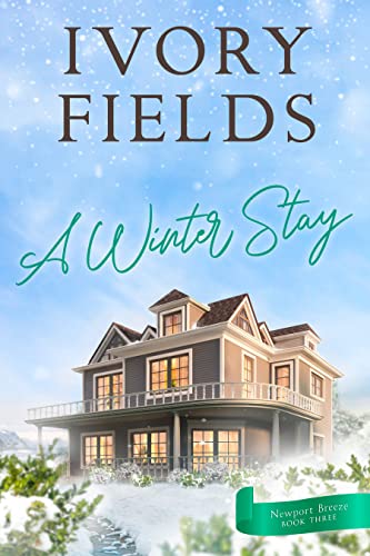 A Winter Stay 3 cover