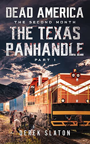 The Texas Panhandle - Pt. 1 book cover