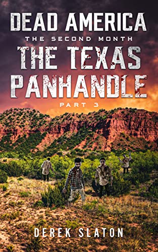 The Texas Panhandle - Pt. 3 book cover