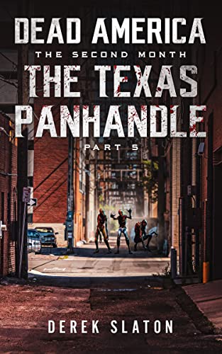 The Texas Panhandle - Pt. 5 book cover