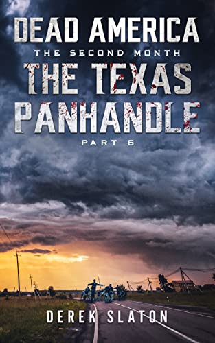 The Texas Panhandle - Pt. 6 book cover