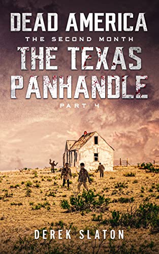 The Texas Panhandle - Pt. 4 book cover