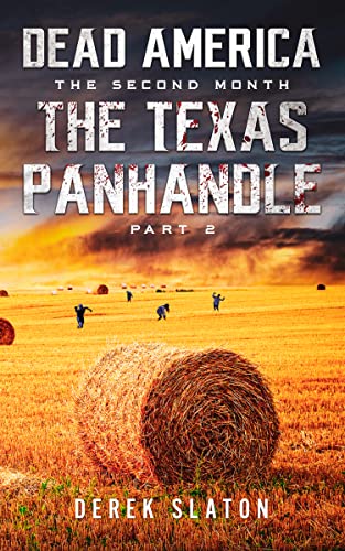 The Texas Panhandle - Pt. 2 book cover