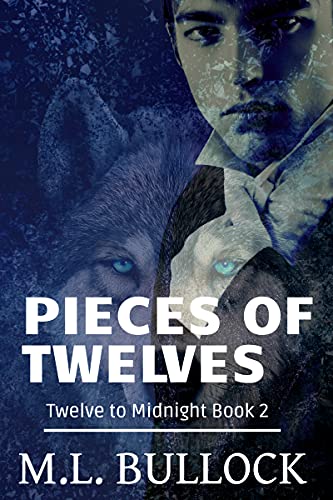 Pieces of Twelves book cover