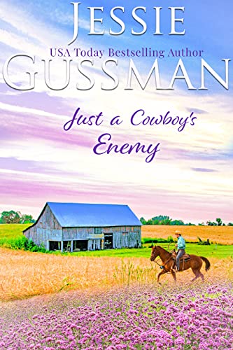 Just a Cowboy's Enemy book cover