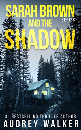 Sarah Brown and the Shadow book cover