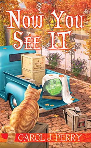 Now You See It book cover