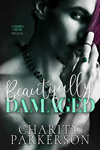 Beautifully Damaged book cover