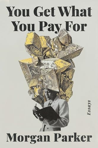 You Get What You Pay For book cover