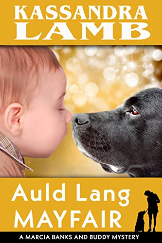 Auld Lang Mayfair book cover