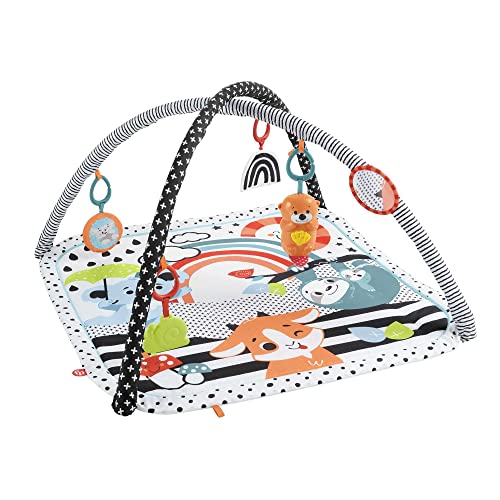 🔥 STARKER PREIS (-41%) Fisher-Price Tierfreunde Kontrast-Spieldecke, Spielbogen, mit Musik und Licht, Krabbeldecke für Baby, zum Spielen im Bauchlage, Baby Ausstattung, ab Geburt, HPF39