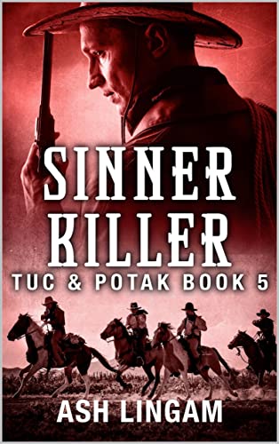 Sinner Killer book cover
