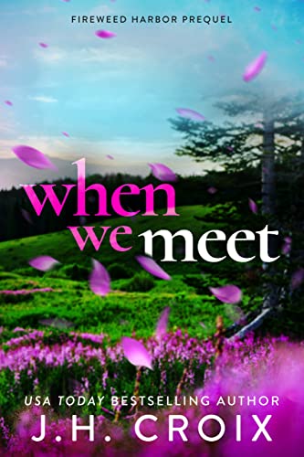 When We Meet book cover