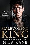 Malevolent King: A Dark Mafia Romance (Made of Mayhem Duet Book 1)