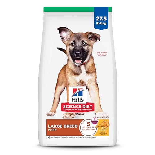 Hill's Science Diet Large Breed Puppy Food, DHA to Support Healthy Development, Chicken & Brown Rice Dry Dog Food, 15.5 lb. Bag