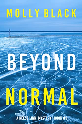 Beyond Normal book cover
