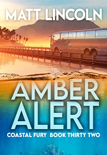 Amber Alert book cover