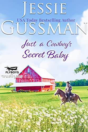 Just a Cowboy's Secret Baby cover