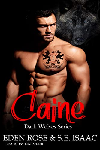 Caine book cover