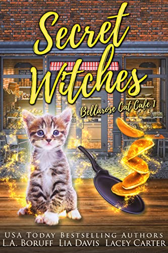Secret Witches book cover