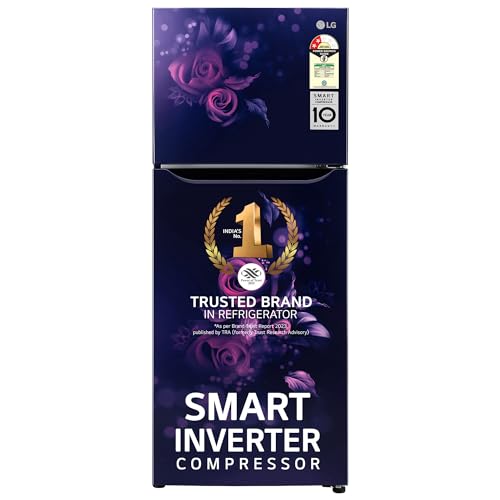 LG 242 L 2 Star Smart Inverter Frost-Free Double Door Refrigerator Appliance (2023 Model, GL-N292BBEY, Blue Euphoria, Smart Connect)