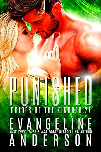 Punished book cover