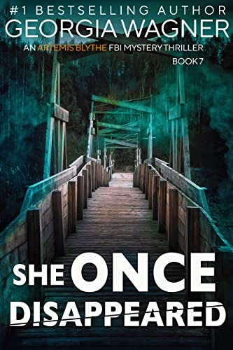 She Once Disappeared book cover