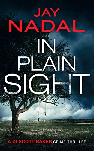 In Plain Sight / Captive book cover