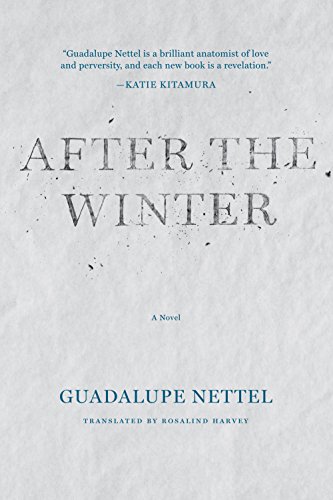 After the Winter book cover