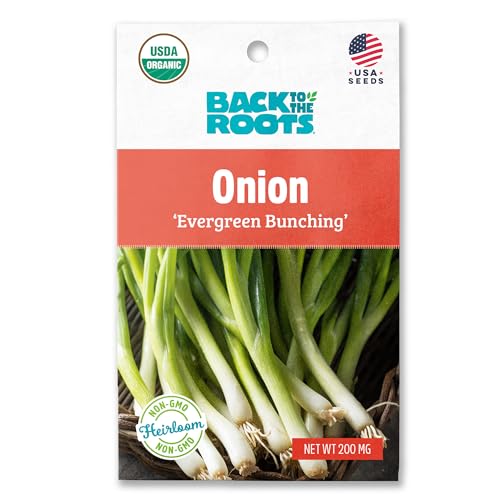 Back to the Roots 100% Organic Seed Packet - Onion 'Evergreen Bunching'