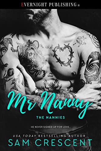 Mr. Nanny book cover