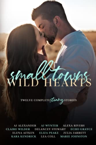 Small Towns, Wild Hearts book cover